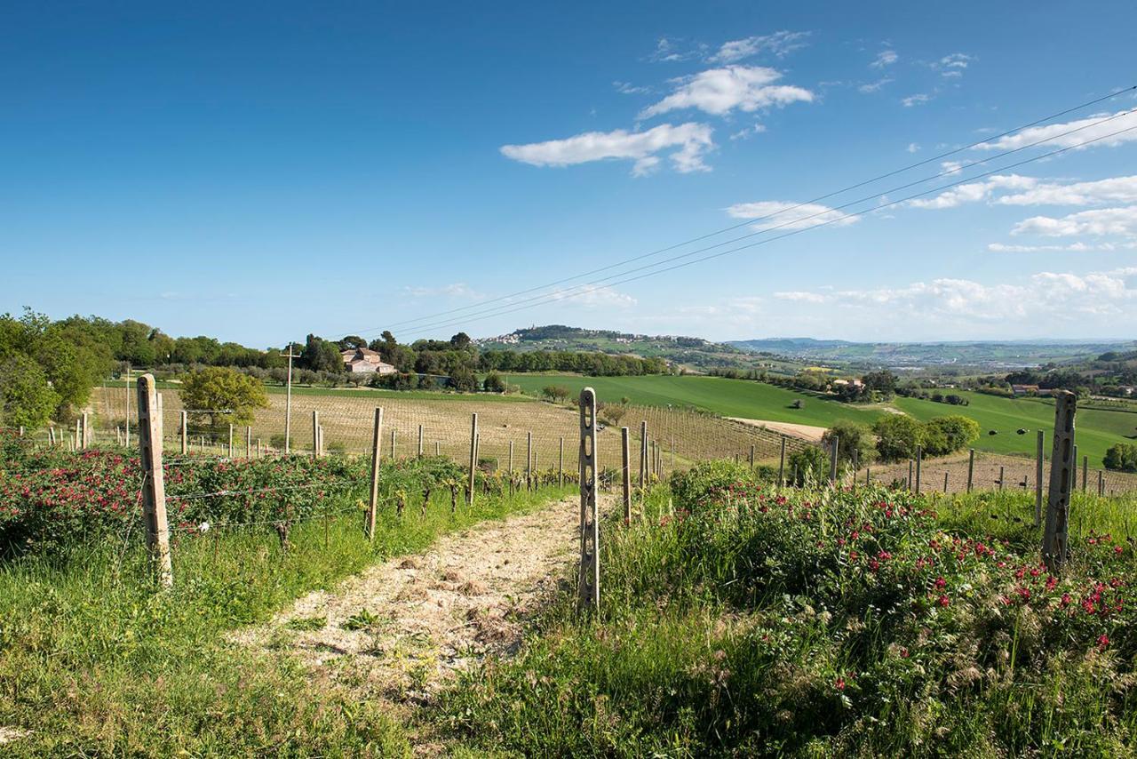 A11 - Varano, Delizioso Trilocale Con Giardino Анкона Екстер'єр фото