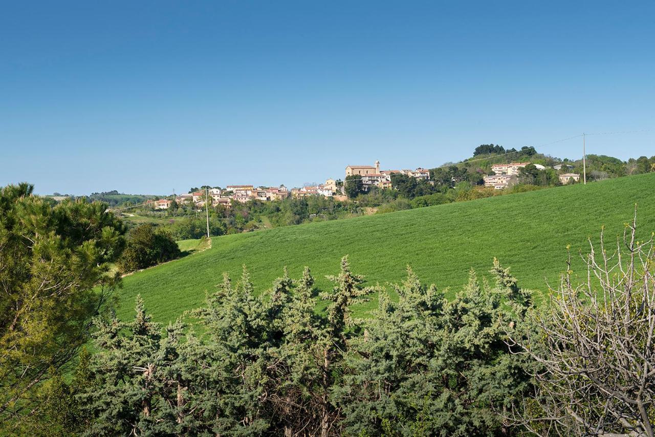 A11 - Varano, Delizioso Trilocale Con Giardino Анкона Екстер'єр фото