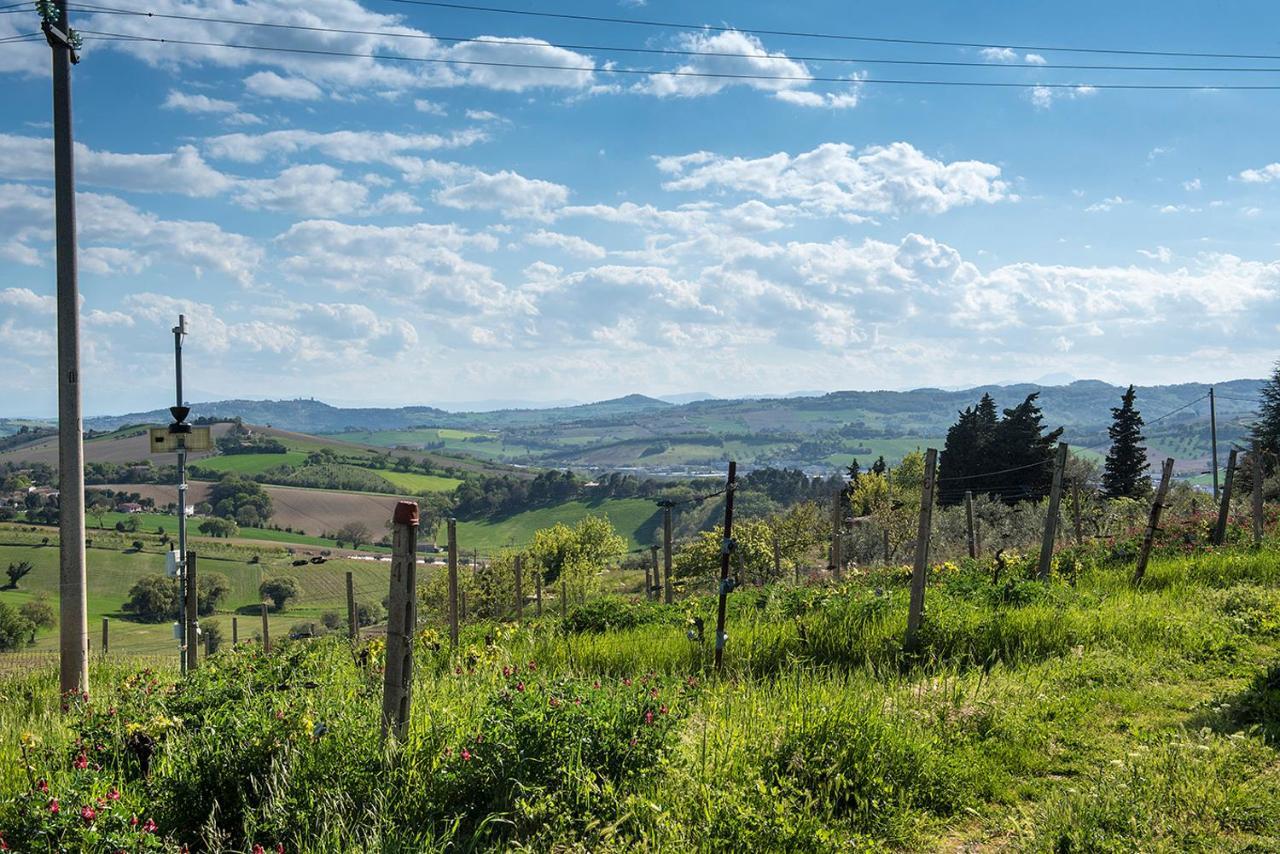 A11 - Varano, Delizioso Trilocale Con Giardino Анкона Екстер'єр фото